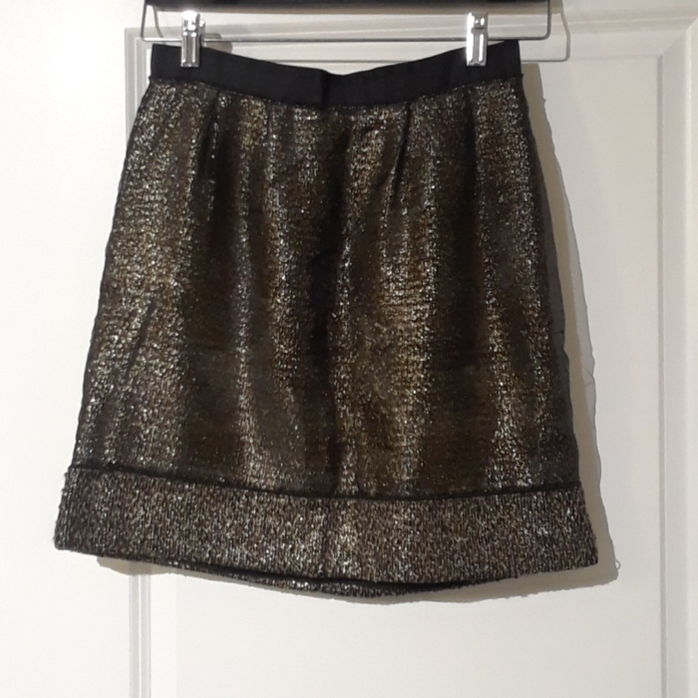 Ann Taylor skirt